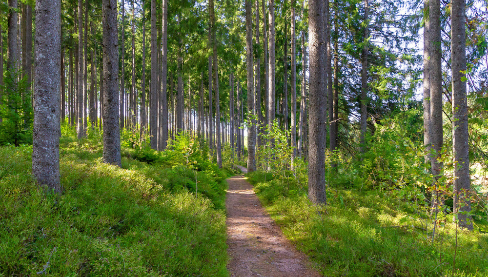 Bild "Aktivurlaub:schluechtsee.jpg"